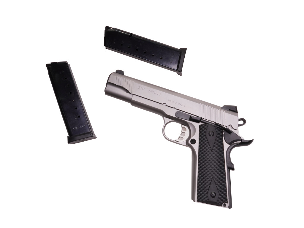 Tisas ZIG1911, .45 Acp, Stainless Steel
